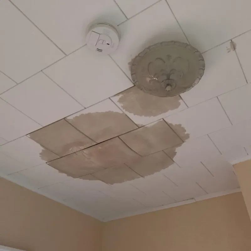 Ceiling Water Damage Repair in McConnellsburg, PA