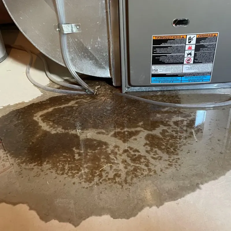 Pipe Burst and Leak Restoration in McConnellsburg, PA