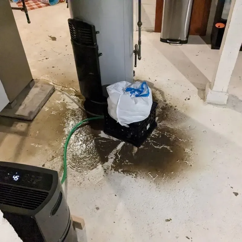Sewage Backup Cleanup Service in McConnellsburg, PA